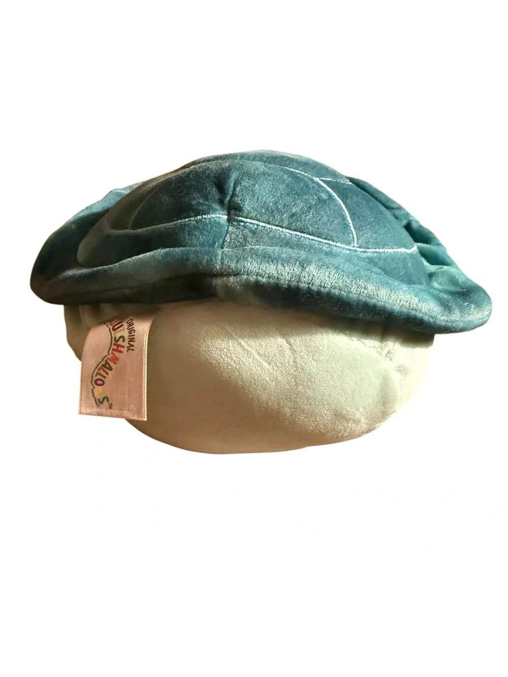 Plush Small Pet Pillow - Mint Green & Cream Cute Buddy